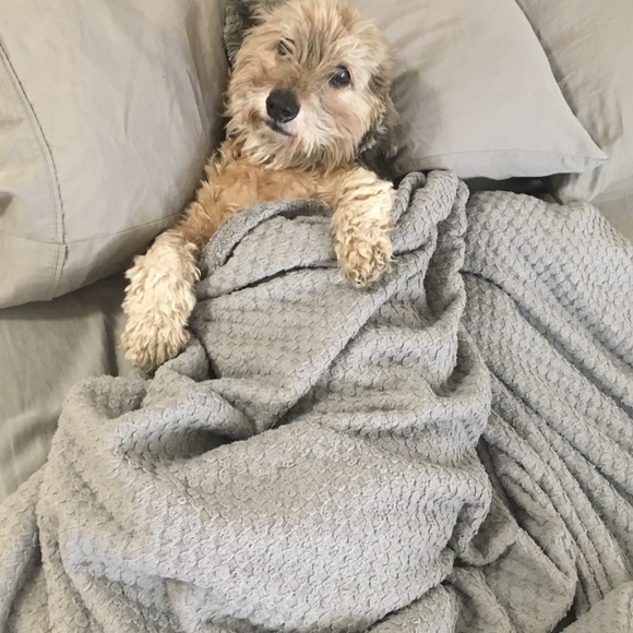 Meet your Posher, Sharon - Picture 1 of 2